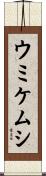 ウミケムシ Scroll