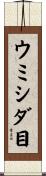 ウミシダ目 Scroll