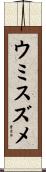ウミスズメ Scroll
