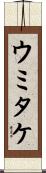 ウミタケ Scroll