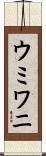 ウミワニ Scroll