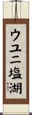 ウユニ塩湖 Scroll