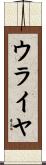 ウライヤ Scroll