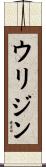 ウリジン Scroll