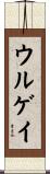 ウルゲイ Scroll