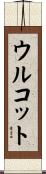 ウルコット Scroll
