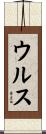 ウルス Scroll