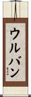 ウルバン Scroll