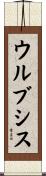 ウルブシス Scroll