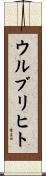 ウルブリヒト Scroll