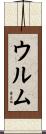 ウルム Scroll