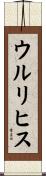ウルリヒス Scroll