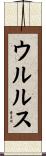 ウルルス Scroll