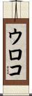 ウロコ Scroll