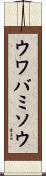 ウワバミソウ Scroll