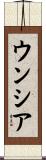 ウンシア Scroll