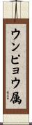 ウンピョウ属 Scroll