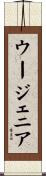 Eugenia Scroll