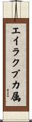 エイラクブカ属 Scroll