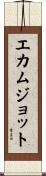Ekamjot Scroll