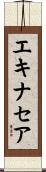 エキナセア Scroll