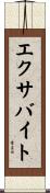 エクサバイト Scroll