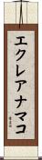 エクレアナマコ Scroll