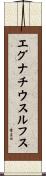 エグナチウスルフス Scroll
