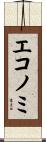 エコノミ Scroll