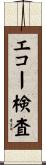 エコー検査 Scroll