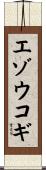 エゾウコギ Scroll