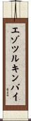 エゾツルキンバイ Scroll