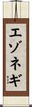 エゾネギ Scroll