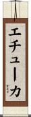 エチューカ Scroll