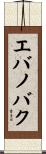 エバノバク Scroll
