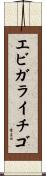 エビガライチゴ Scroll