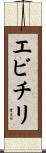 エビチリ Scroll
