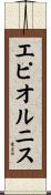 エピオルニス Scroll