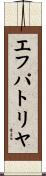 エフパトリヤ Scroll