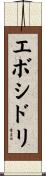 エボシドリ Scroll