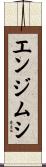 エンジムシ Scroll