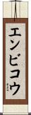 エンビコウ Scroll