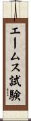 エームス試験 Scroll