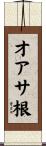 オアサ根 Scroll