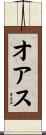 オアス Scroll