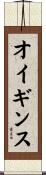 オイギンス Scroll