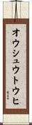 オウシュウトウヒ Scroll