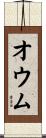 オウム Scroll