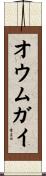 オウムガイ Scroll