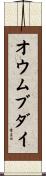 オウムブダイ Scroll